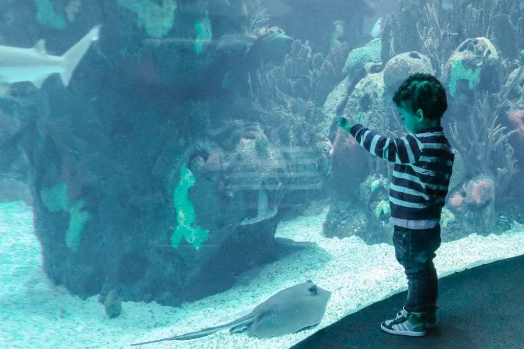 Oceanario de Lisboa